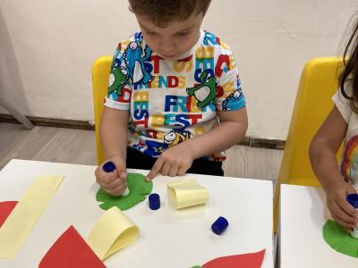 3D гъбки