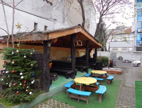 Коледна елхичка в двора