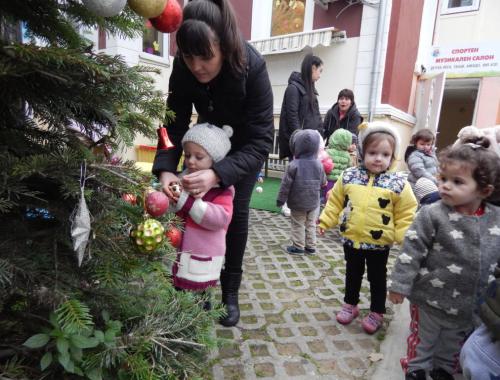 Коледна елхичка в двора