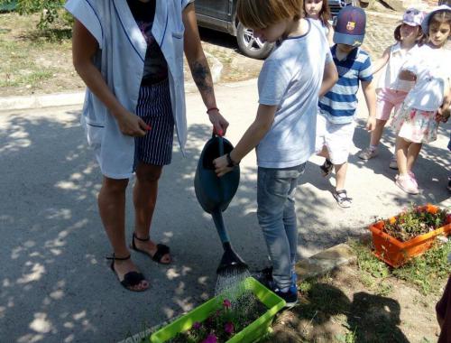 Грижа за растенията