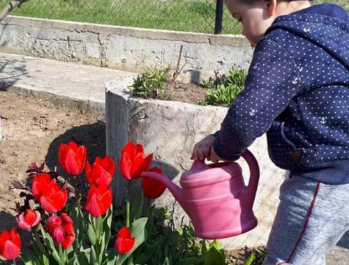 Урок за частите на цветето