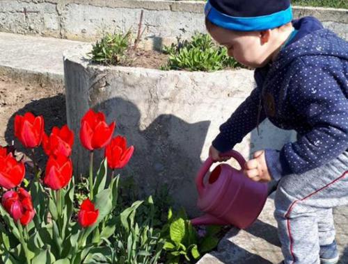 Урок за частите на цветето